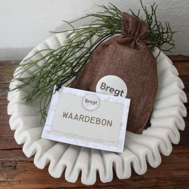 Waardebon T W V 100