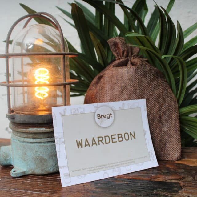 Waardebon T W V 100