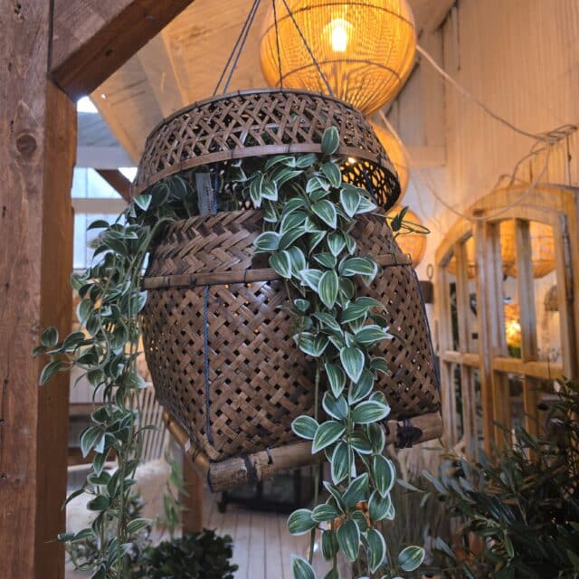 Nasi Mand Met Touwen