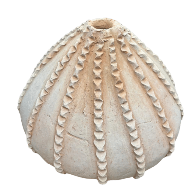 Tamegroute Pompoen Vaas Naturel